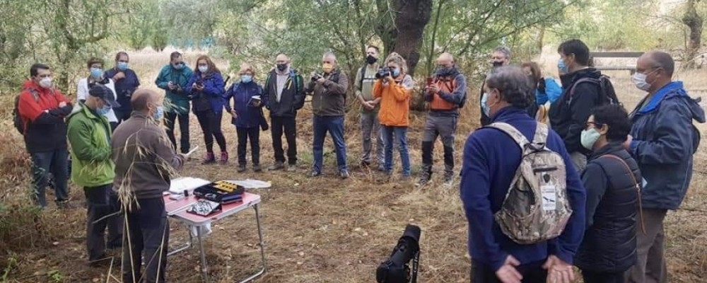 27 alumnos aprenden sobre las aves de Ávila en el curso de ornitología organizado por la Diputación