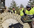 Foto de El diputado de Desarrollo Rural visita una empresa de reforestación que gestiona proyectos de absorción de carbono