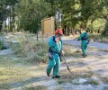 Foto de El presidente asiste en Arévalo a la primera jornada de trabajo del Porgrama Elmet