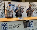 Foto de La música de órgano llega a más comarcas con el I Festival de Ávila