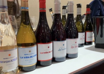 Ávila Auténtica participa en la Barcelona Wine Week para visibilizar los caldos abulenses y avanzar en sus posibilidades de internacionalización (2º Fotografía)