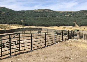 La Diputación renueva los corrales y la imagen de la Finca ‘El Colmenar’ (3º Fotografía)