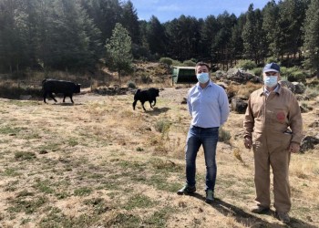 La Diputación renueva los corrales y la imagen de la Finca ‘El Colmenar’ (2º Fotografía)