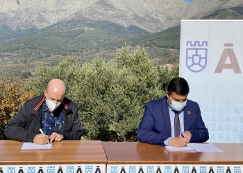 La Diputación impulsa el aceite de oliva del Tiétar con el objetivo de lograr la primera DOP de Castilla y León (3º Fotografía)