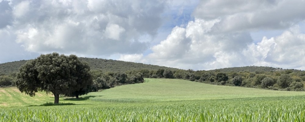 Carlos García subraya la importancia de “defender urgentemente el sector agroalimentario abulense”