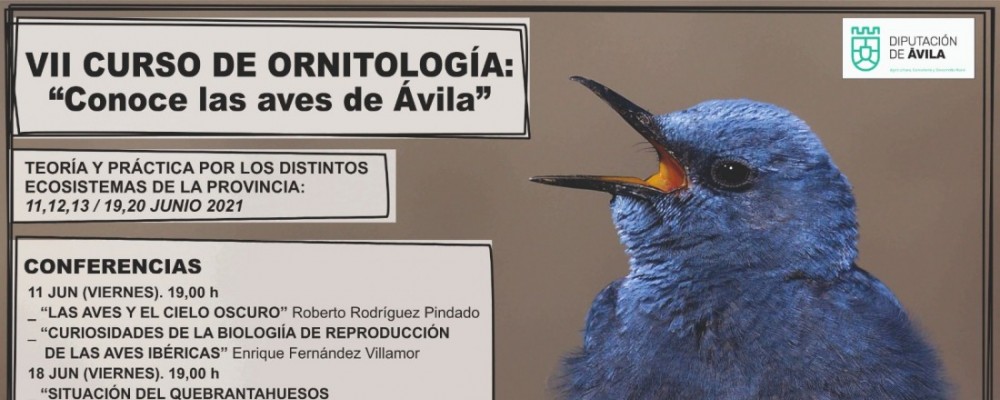 La Diputación organiza la VII edición del curso ‘Conoce las aves de Ávila’