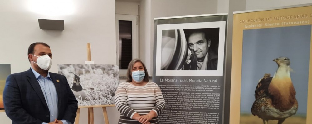 Cardeñosa, primera parada de la exposición ‘Moraña rural, Moraña natural’ de Gabriel Sierra 'Tatavasco'