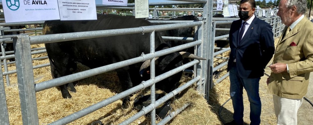 El presidente llama a colaborar con la ganadería en la inauguración del Concurso-Subasta de Raza Avileña-Negra Ibérica