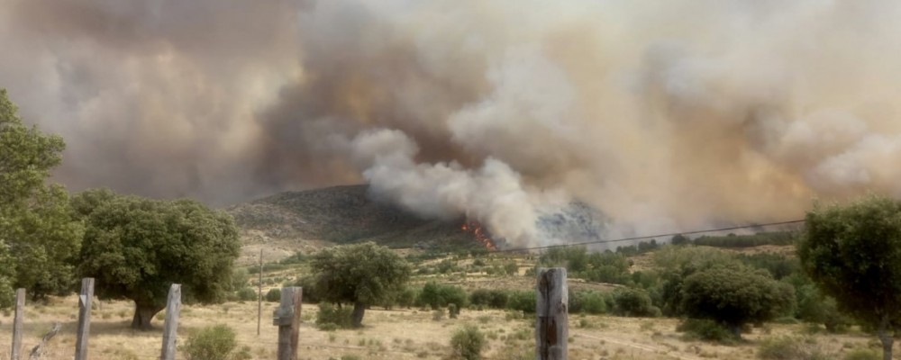 La Diputación comunica al Gobierno los daños en las infraestructuras de doce municipios por el incendio de La Paramera