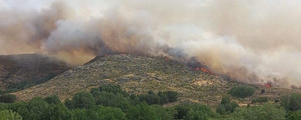 La Diputación destina todos sus medios materiales y humanos a combatir el devastador incendio de Navalacruz
