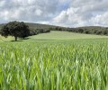 Foto de Carlos García subraya la importancia de “defender urgentemente el sector agroalimentario abulense”