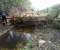 Foto de Fajinas forestales para proteger acuíferos y captaciones de agua frente al arrastre de cenizas