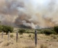 Foto de La Diputación comunica al Gobierno los daños en las infraestructuras de doce municipios por el incendio de La Paramera