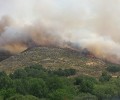 Foto de La Diputación destina todos sus medios materiales y humanos a combatir el devastador incendio de Navalacruz