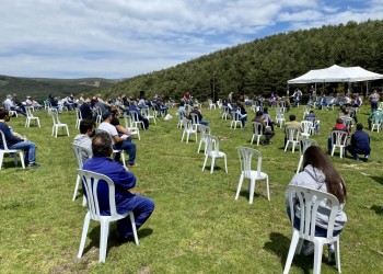 La subasta de ganado de Raza Avileña negra-Ibérica de 'El Colmenar' alcanza los 43.200 euros (3º Fotografía)