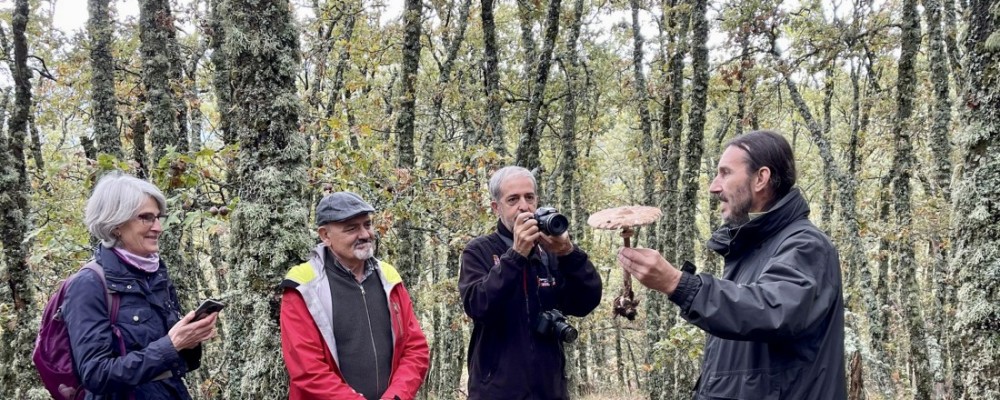 ‘Conoce los hongos de Ávila’ concluye su primer fin de semana de rutas por El Barco de Ávila y Peguerinos