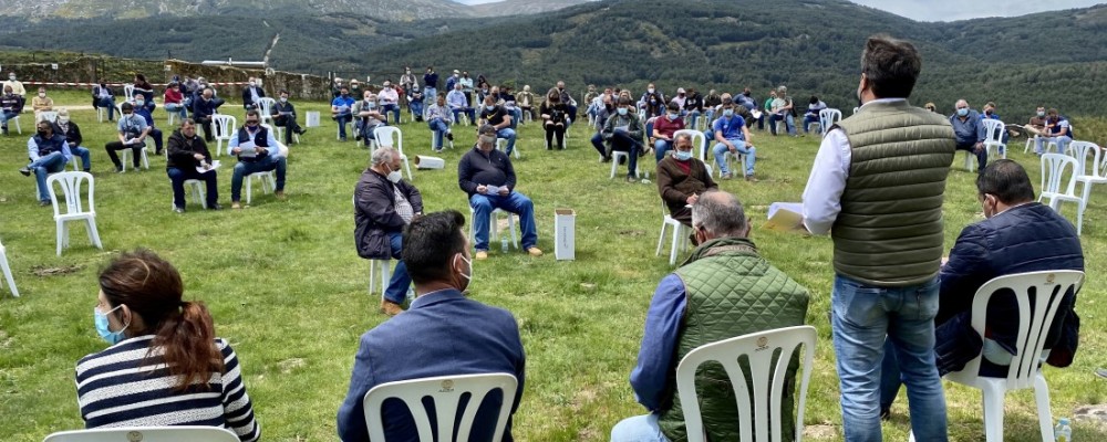 La Diputación prepara la subasta de ganado de Raza Avileña Negra-Ibérica en la finca El Colmenar
