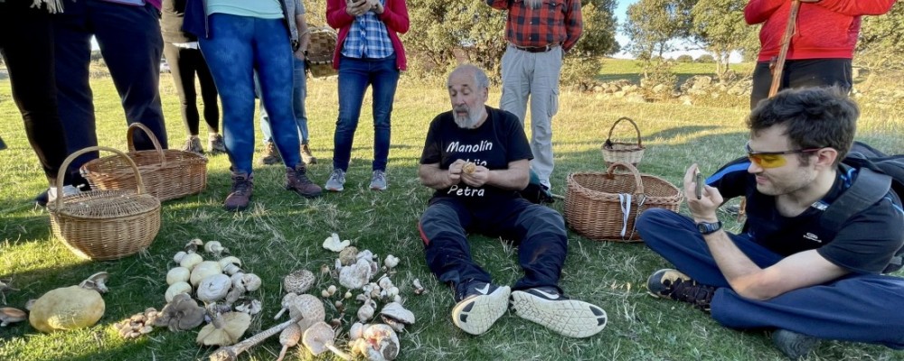 ‘Conoce los hongos de Ávila’ cumple su objetivo de “conocimiento y conservación de las especies”