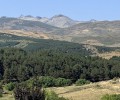 Foto de El sabor de Ávila Auténtica, por primera vez en Músicos en la Naturaleza