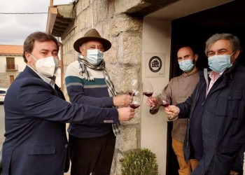 El diputado de Desarrollo Rural comprueba el progreso del convenio con la DOP Vinos de Cebreros (2º Fotografía)