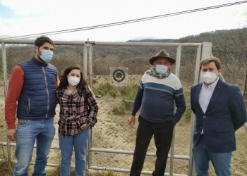 El diputado de Desarrollo Rural comprueba el progreso del convenio con la DOP Vinos de Cebreros (3º Fotografía)