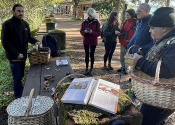 ‘Conoce los hongos de Ávila’ cumple su objetivo de “conocimiento y conservación de las especies” (2º Fotografía)