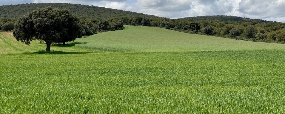 La Diputación, en Turquía como socia de un nuevo proyecto europeo que conjuga energía y agricultura