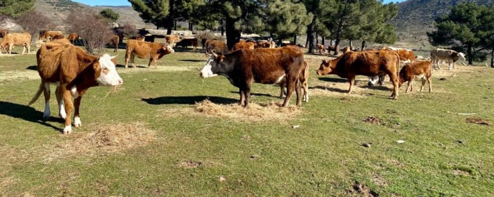 191 solicitudes presentadas a la subvención de mejora de la seguridad y la salud en el sector agrario