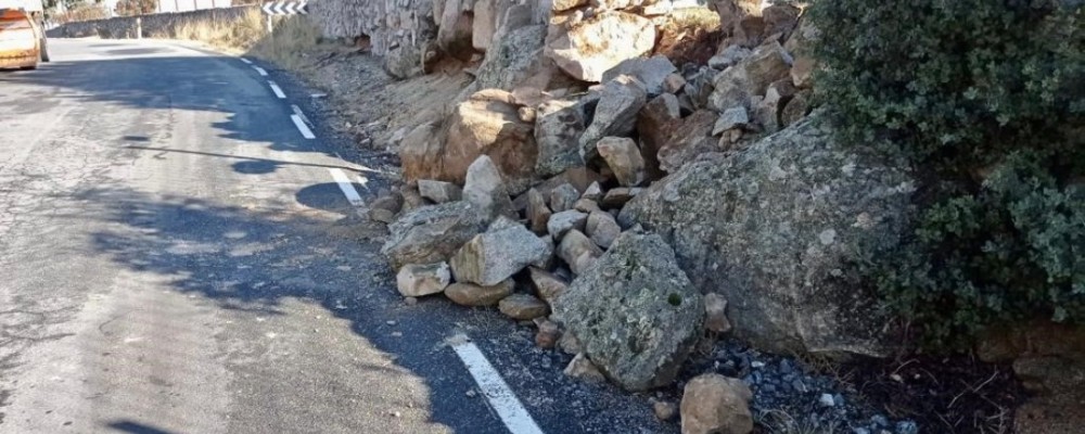 Las caídas de árboles sobre la calzada, principales incidencias viarias leves causadas por las lluvias