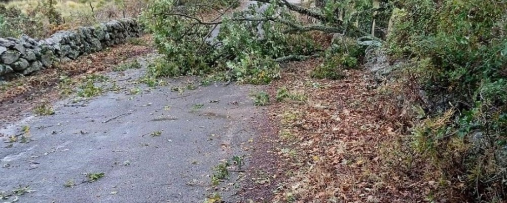El viento causa diversas incidencias en la provincia, tanto en carreteras como en cascos urbanos