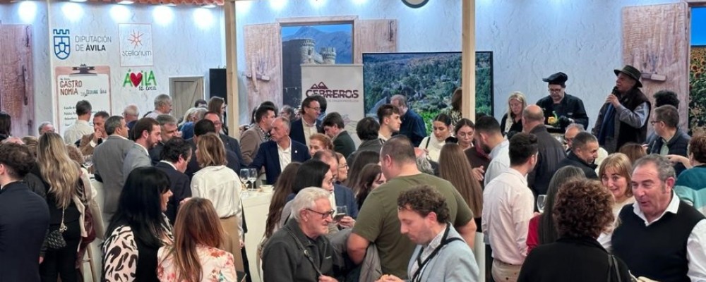 Sinergias y fortalezas abulenses marcan el balance de la presencia de la Diputación en Intur 2023