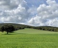 Foto de La Diputación, en Turquía como socia de un nuevo proyecto europeo que conjuga energía y agricultura