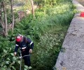 Foto de Los trabajadores del MONTEL comienzan a limpiar y podar en los 247 municipios de la provincia