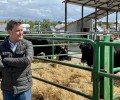 Foto de La Diputación participa con cuatro reses en el XLVII Concurso-Subasta nacional de Raza Avileña-Negra Ibérica