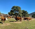 Foto de 191 solicitudes presentadas a la subvención de mejora de la seguridad y la salud en el sector agrario