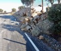 Foto de Las caídas de árboles sobre la calzada, principales incidencias viarias leves causadas por las lluvias