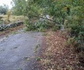 Foto de El viento causa diversas incidencias en la provincia, tanto en carreteras como en cascos urbanos