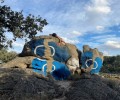 Foto de Ibarrola, el artista que dialogó con la naturaleza