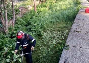 Los trabajadores del MONTEL comienzan a limpiar y podar en los 247 municipios de la provincia