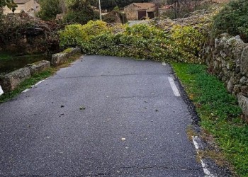 El viento causa diversas incidencias en la provincia, tanto en carreteras como en cascos urbanos (2º Fotografía)