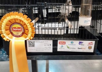 El presidente felicita al tembleño Diego Enamorado, ganador de cuatro medallas en el Nacional de Ornitología (2º Fotografía)