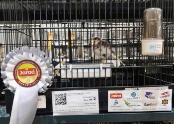 El presidente felicita al tembleño Diego Enamorado, ganador de cuatro medallas en el Nacional de Ornitología (3º Fotografía)