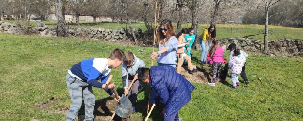 La Diputación celebra el Día del Árbol reforestando una zona de Navarredondilla afectada por el fuego