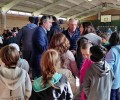 Foto de Cien escolares dan por fin inicio a los Juegos Escolares provinciales en Arévalo y Naturávila