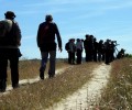 Foto de 90 especies avistadas durante el curso ‘Conoce las aves de Ávila’, organizado por la Diputación