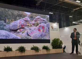 Más de 5.000 profesionales pasaron, de miércoles a viernes, por el espacio de Ávila en el estand de Castilla y León en FITUR 2024 (3º Fotografía)