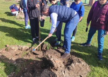 La Diputación celebra el Día del Árbol reforestando una zona de Navarredondilla afectada por el fuego (2º Fotografía)