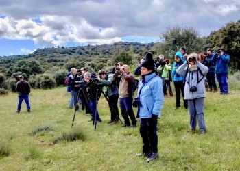 90 especies avistadas durante el curso ‘Conoce las aves de Ávila’, organizado por la Diputación (2º Fotografía)