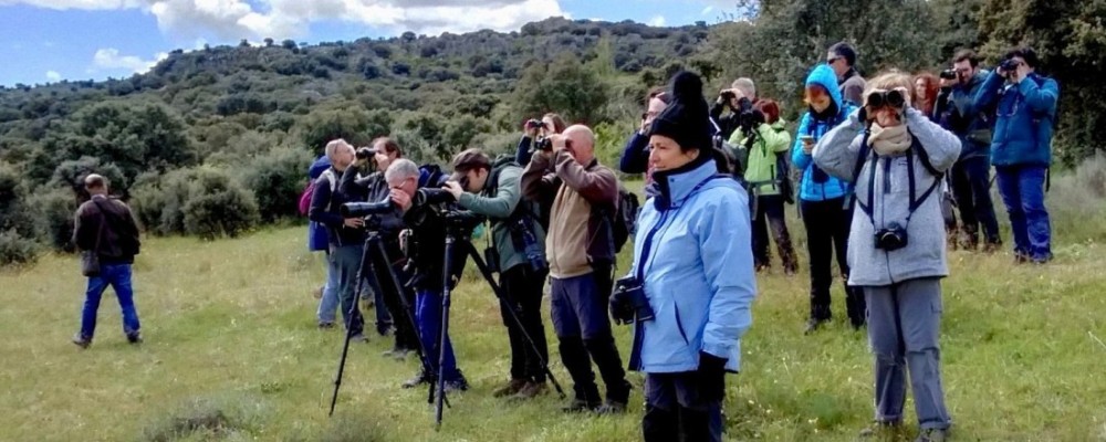 Abiertas las inscripciones para la XI edición del curso ‘Conoce las aves de Ávila’