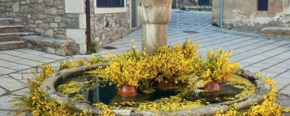 Cepeda la Mora acoge el día central de Gredos en Flor con actividades y diversión para toda la familia
